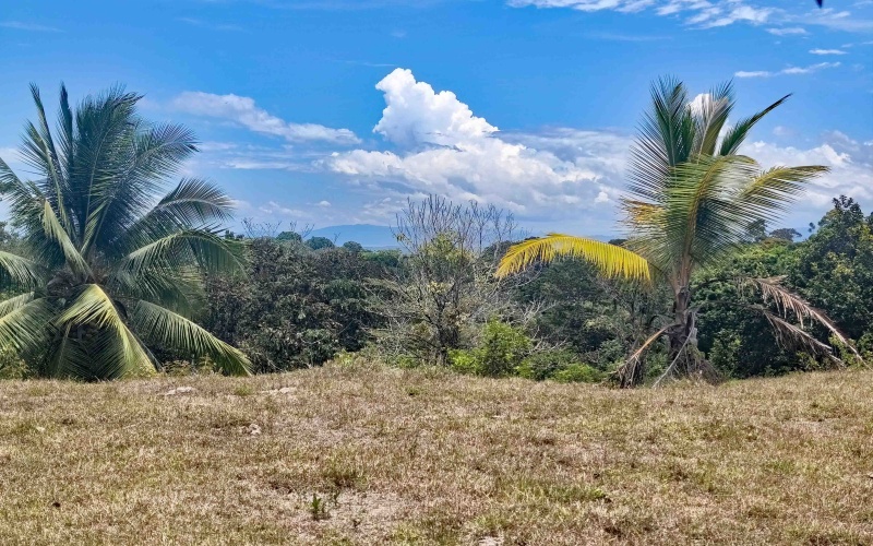 Pavones real estate, Cuervito ocean view land, riverfront property Costa Rica, gated community Pavones, Lot 3 Cuervito, land for sale Pavones, ocean view land Costa Rica