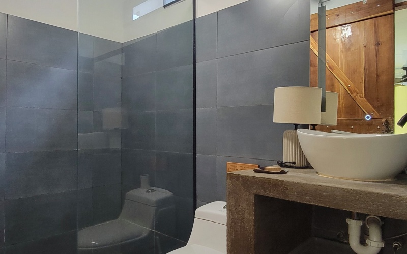 Bathroom, OSA Natural products to clean dishes, clothes, and yourself