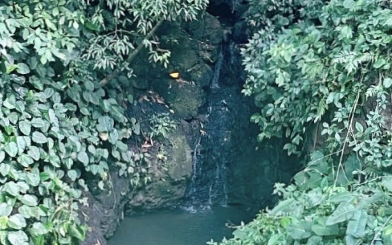 Trails lead to 2 separate waterfalls