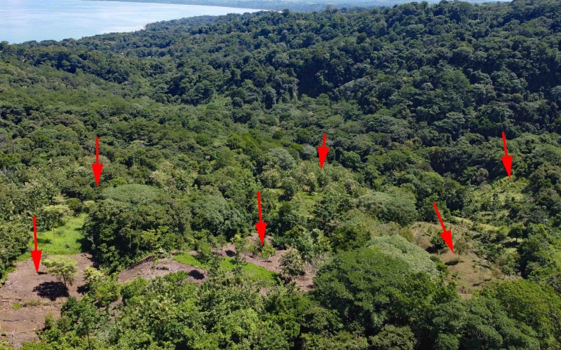 Pavones Costa Rica real estate, ocean view land Pavones, 26 acres Pavones, La Hierba property for sale, riverfront land Costa Rica, ocean view acreage Pavones, Costa Rica development land, waterfall property Pavones