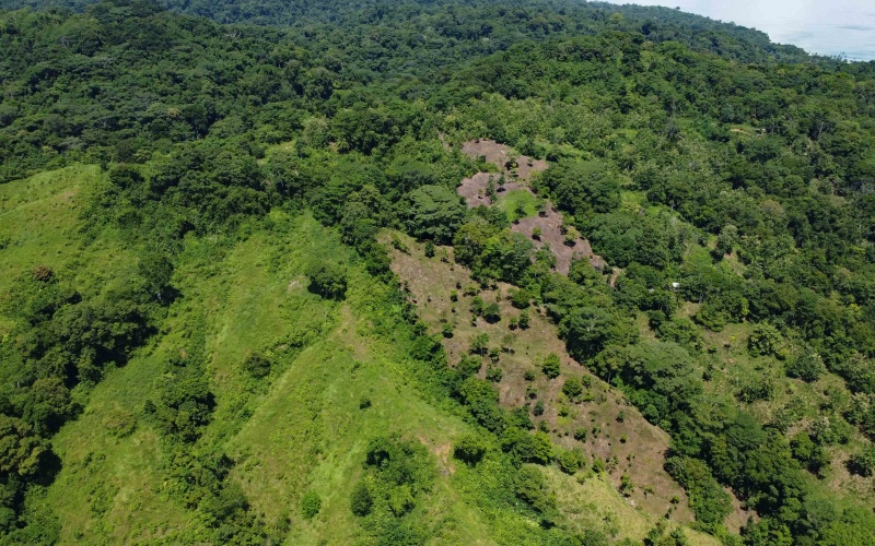 Pavones Costa Rica real estate, ocean view land Pavones, 26 acres Pavones, La Hierba property for sale, riverfront land Costa Rica, ocean view acreage Pavones, Costa Rica development land, waterfall property Pavones