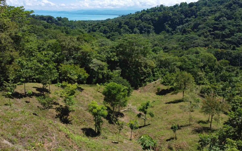 Pavones Costa Rica real estate, ocean view land Pavones, 26 acres Pavones, La Hierba property for sale, riverfront land Costa Rica, ocean view acreage Pavones, Costa Rica development land, waterfall property Pavones