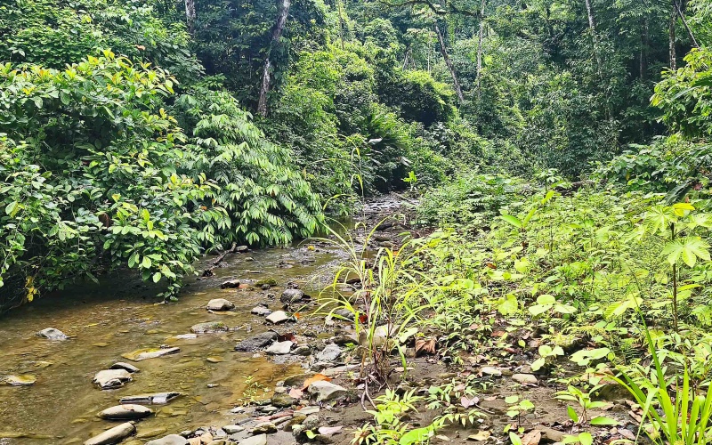 Pavones Costa Rica real estate, ocean view land Pavones, 26 acres Pavones, La Hierba property for sale, riverfront land Costa Rica, ocean view acreage Pavones, Costa Rica development land, waterfall property Pavones