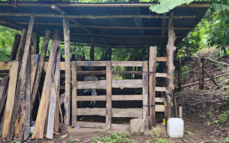 Pavones Costa Rica real estate, ocean view land Pavones, 26 acres Pavones, La Hierba property for sale, riverfront land Costa Rica, ocean view acreage Pavones, Costa Rica development land, waterfall property Pavones