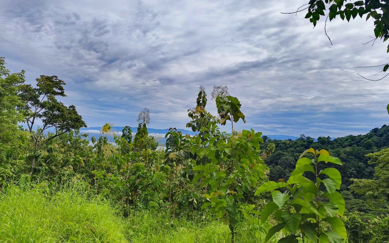 Pavones Costa Rica real estate, ocean view land Pavones, 26 acres Pavones, La Hierba property for sale, riverfront land Costa Rica, ocean view acreage Pavones, Costa Rica development land, waterfall property Pavones