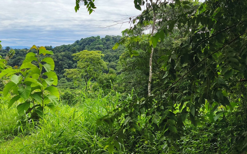 Pavones Costa Rica real estate, ocean view land Pavones, 26 acres Pavones, La Hierba property for sale, riverfront land Costa Rica, ocean view acreage Pavones, Costa Rica development land, waterfall property Pavones