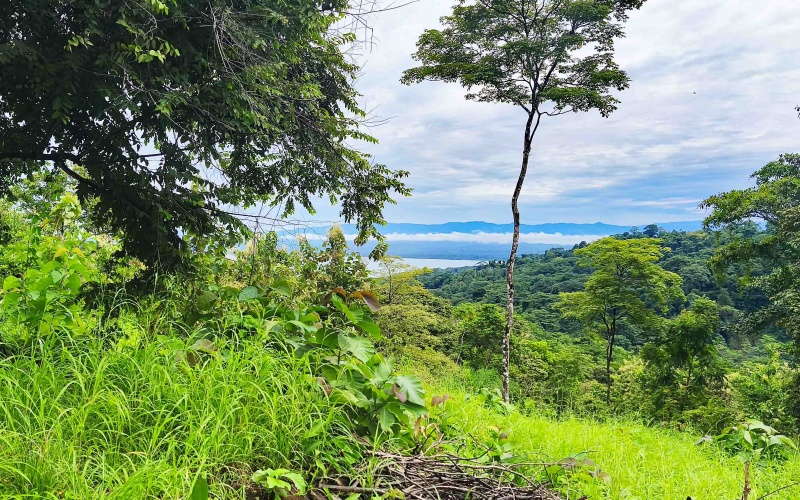 Pavones Costa Rica real estate, ocean view land Pavones, 26 acres Pavones, La Hierba property for sale, riverfront land Costa Rica, ocean view acreage Pavones, Costa Rica development land, waterfall property Pavones