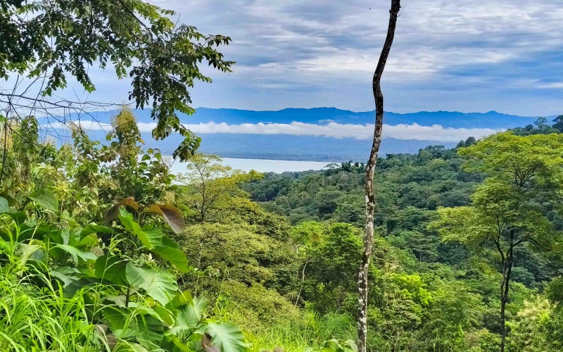 Pavones Costa Rica real estate, ocean view land Pavones, 26 acres Pavones, La Hierba property for sale, riverfront land Costa Rica, ocean view acreage Pavones, Costa Rica development land, waterfall property Pavones