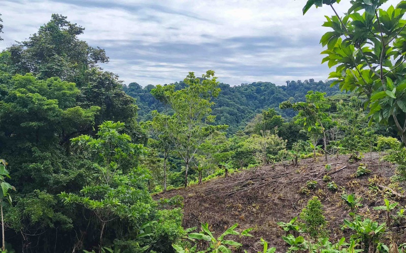 Pavones Costa Rica real estate, ocean view land Pavones, 26 acres Pavones, La Hierba property for sale, riverfront land Costa Rica, ocean view acreage Pavones, Costa Rica development land, waterfall property Pavones