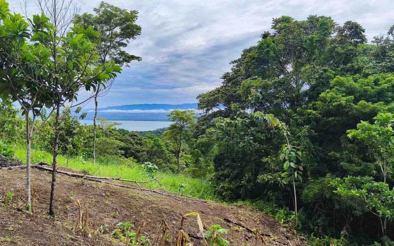 Pavones Costa Rica real estate, ocean view land Pavones, 26 acres Pavones, La Hierba property for sale, riverfront land Costa Rica, ocean view acreage Pavones, Costa Rica development land, waterfall property Pavones