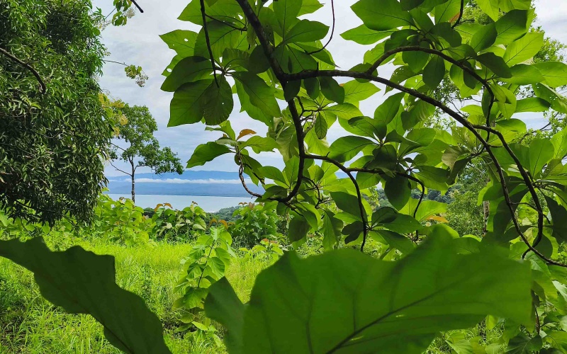 Pavones Costa Rica real estate, ocean view land Pavones, 26 acres Pavones, La Hierba property for sale, riverfront land Costa Rica, ocean view acreage Pavones, Costa Rica development land, waterfall property Pavones
