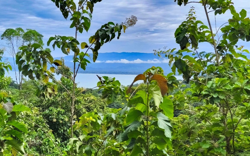 Pavones Costa Rica real estate, ocean view land Pavones, 26 acres Pavones, La Hierba property for sale, riverfront land Costa Rica, ocean view acreage Pavones, Costa Rica development land, waterfall property Pavones