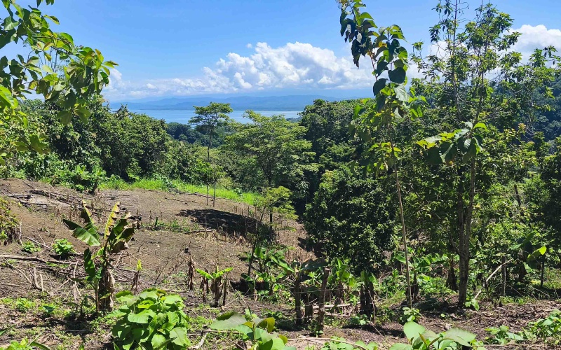 Pavones Costa Rica real estate, ocean view land Pavones, 26 acres Pavones, La Hierba property for sale, riverfront land Costa Rica, ocean view acreage Pavones, Costa Rica development land, waterfall property Pavones
