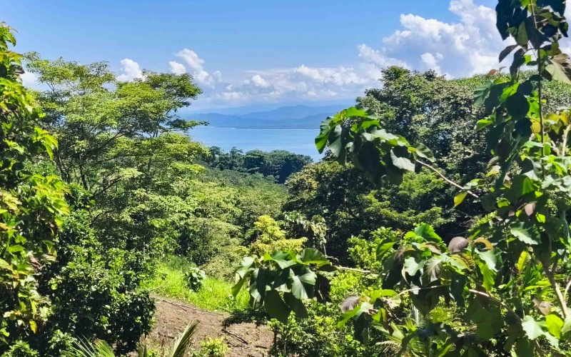 Pavones Costa Rica real estate, ocean view land Pavones, 26 acres Pavones, La Hierba property for sale, riverfront land Costa Rica, ocean view acreage Pavones, Costa Rica development land, waterfall property Pavones