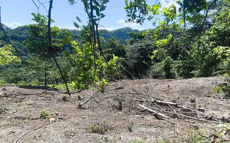 Pavones Costa Rica real estate, ocean view land Pavones, 26 acres Pavones, La Hierba property for sale, riverfront land Costa Rica, ocean view acreage Pavones, Costa Rica development land, waterfall property Pavones
