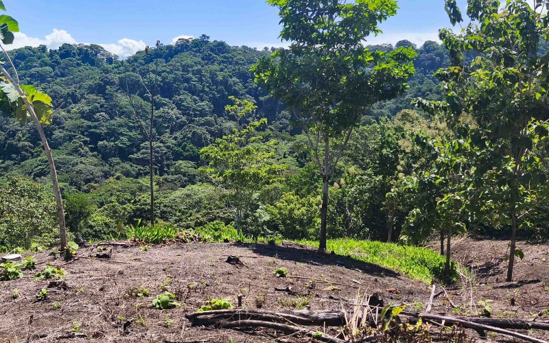 Pavones Costa Rica real estate, ocean view land Pavones, 26 acres Pavones, La Hierba property for sale, riverfront land Costa Rica, ocean view acreage Pavones, Costa Rica development land, waterfall property Pavones