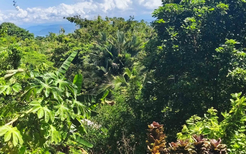 Pavones Costa Rica real estate, ocean view land Pavones, 26 acres Pavones, La Hierba property for sale, riverfront land Costa Rica, ocean view acreage Pavones, Costa Rica development land, waterfall property Pavones