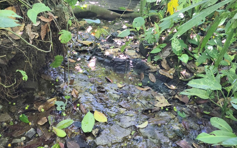 Pavones Costa Rica real estate, ocean view land Pavones, 26 acres Pavones, La Hierba property for sale, riverfront land Costa Rica, ocean view acreage Pavones, Costa Rica development land, waterfall property Pavones