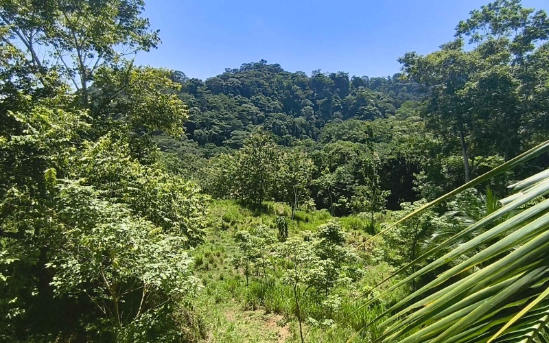 Pavones Costa Rica real estate, ocean view land Pavones, 26 acres Pavones, La Hierba property for sale, riverfront land Costa Rica, ocean view acreage Pavones, Costa Rica development land, waterfall property Pavones