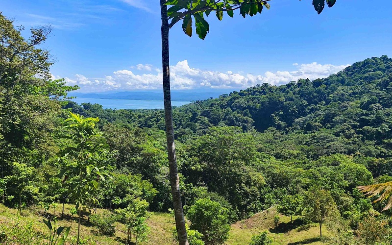 Pavones Costa Rica real estate, ocean view land Pavones, 26 acres Pavones, La Hierba property for sale, riverfront land Costa Rica, ocean view acreage Pavones, Costa Rica development land, waterfall property Pavones