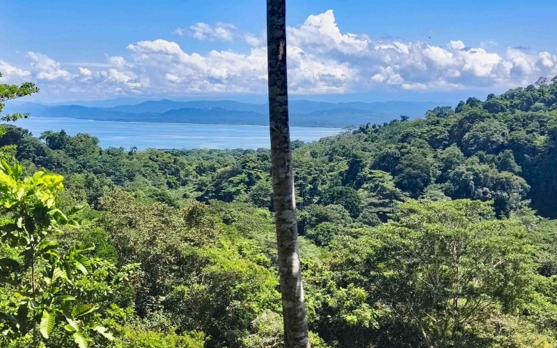 Pavones Costa Rica real estate, ocean view land Pavones, 26 acres Pavones, La Hierba property for sale, riverfront land Costa Rica, ocean view acreage Pavones, Costa Rica development land, waterfall property Pavones