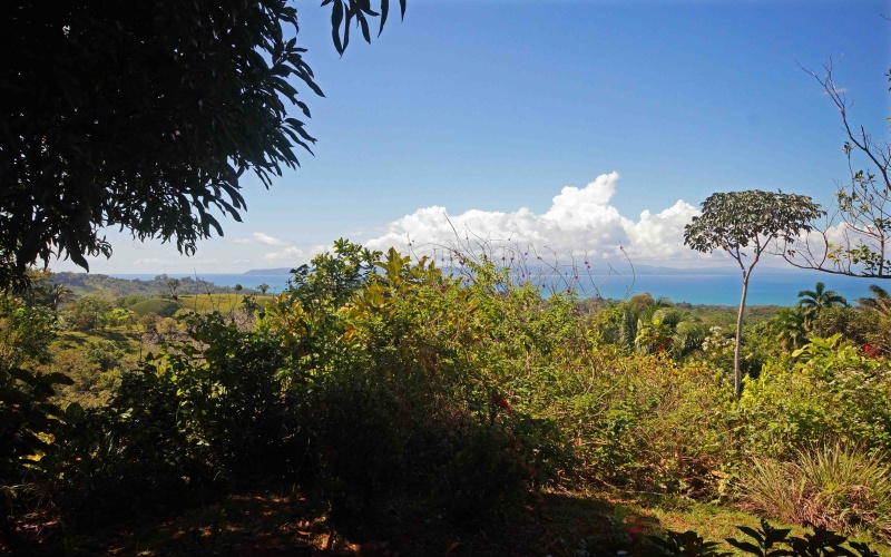 View from front porch