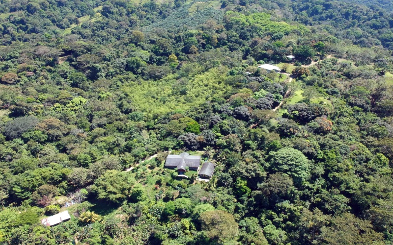 Picture of 3 bed 1.5 bath home with a view of the Osa Penninsula for sale in Pavones Costa Rica