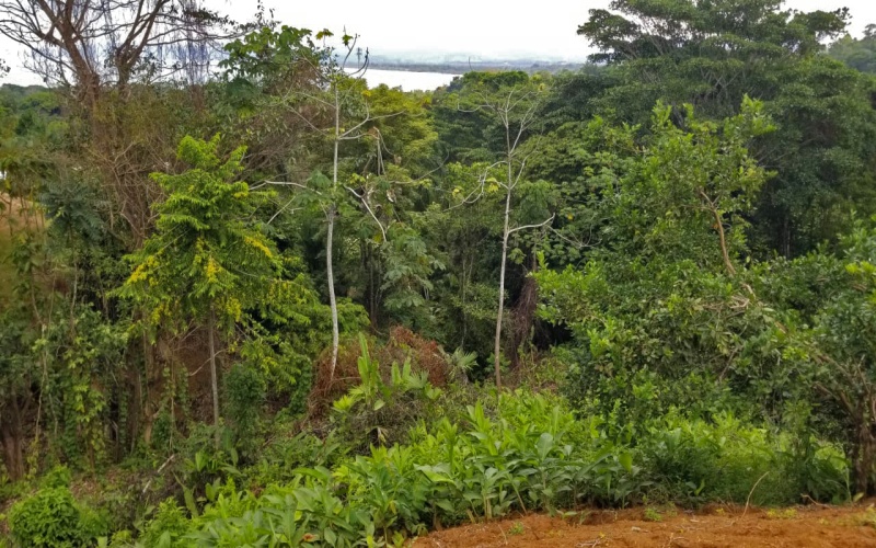 Once hectare property for sale in Pavones Costa Rica with an ocean view