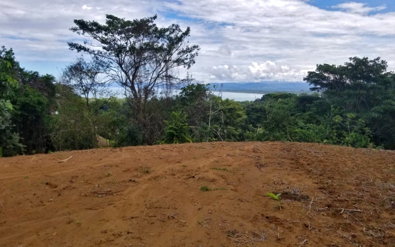 Once hectare property for sale in Pavones Costa Rica with an ocean view