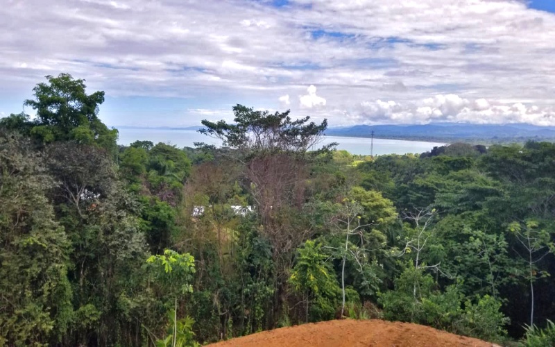 Once hectare property for sale in Pavones Costa Rica with an ocean view