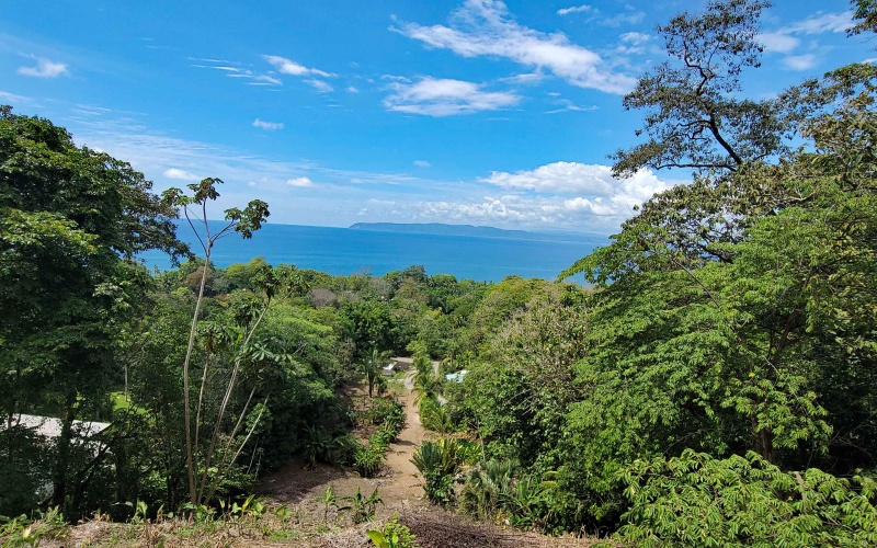 Lot for sale, Pavones, Costa Rica, Keller Williams,  Ocean View, Lot for hotel, Lot for luxury home, Ocean Front lot,  Punta Banco, Pilon, Zancudo, Beach lot, 