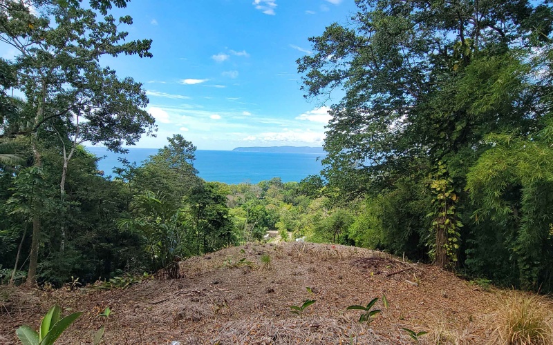 Lot for sale, Pavones, Costa Rica, Keller Williams,  Ocean View, Lot for hotel, Lot for luxury home, Ocean Front lot,  Punta Banco, Pilon, Zancudo, Beach lot, 