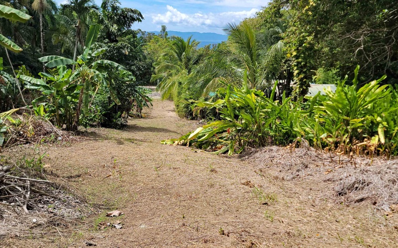 Lot for sale, Pavones, Costa Rica, Keller Williams,  Ocean View, Lot for hotel, Lot for luxury home, Ocean Front lot,  Punta Banco, Pilon, Zancudo, Beach lot, 