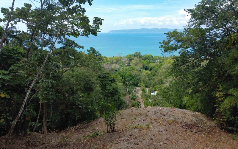 Lot for sale, Pavones, Costa Rica, Keller Williams,  Ocean View, Lot for hotel, Lot for luxury home, Ocean Front lot,  Punta Banco, Pilon, Zancudo, Beach lot, 