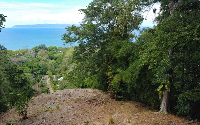 Lot for sale, Pavones, Costa Rica, Keller Williams,  Ocean View, Lot for hotel, Lot for luxury home, Ocean Front lot,  Punta Banco, Pilon, Zancudo, Beach lot, 