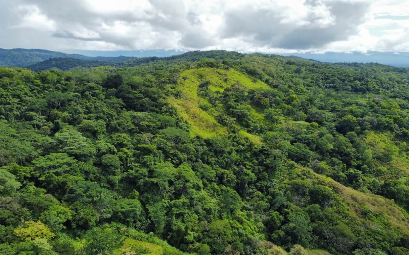 Farm for sale, Finca en venta, Real Estate, Costa Rica, Golfito, La Florida, Nazareth,  Playa Zancudo,  Rio Coto, Fishing, Ganaderia, Livestock, Se vende, Land for sale, 