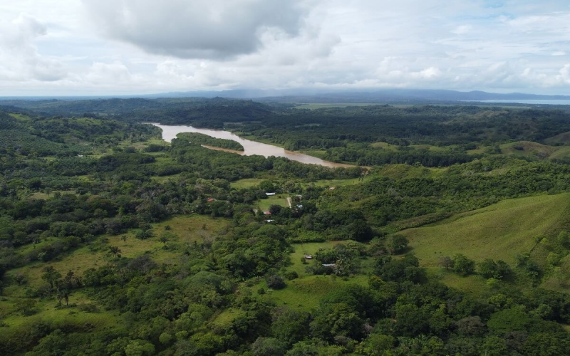 Farm for sale, Finca en venta, Real Estate, Costa Rica, Golfito, La Florida, Nazareth,  Playa Zancudo,  Rio Coto, Fishing, Ganaderia, Livestock, Se vende, Land for sale, 