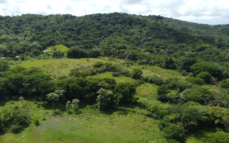 Farm for sale, Finca en venta, Real Estate, Costa Rica, Golfito, La Florida, Nazareth,  Playa Zancudo,  Rio Coto, Fishing, Ganaderia, Livestock, Se vende, Land for sale, 