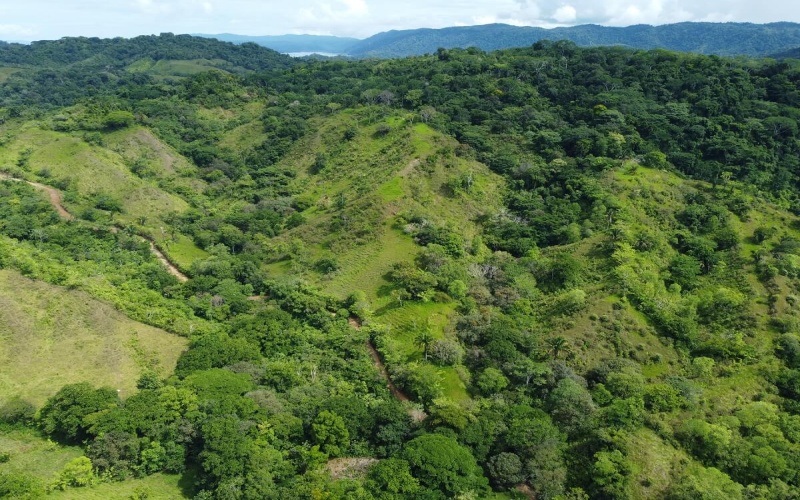 Farm for sale, Finca en venta, Real Estate, Costa Rica, Golfito, La Florida, Nazareth,  Playa Zancudo,  Rio Coto, Fishing, Ganaderia, Livestock, Se vende, Land for sale, 