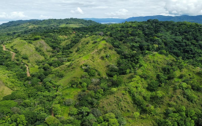 Farm for sale, Finca en venta, Real Estate, Costa Rica, Golfito, La Florida, Nazareth,  Playa Zancudo,  Rio Coto, Fishing, Ganaderia, Livestock, Se vende, Land for sale, 