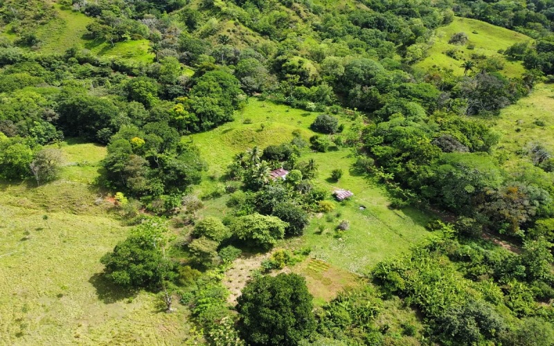 Farm for sale, Finca en venta, Real Estate, Costa Rica, Golfito, La Florida, Nazareth,  Playa Zancudo,  Rio Coto, Fishing, Ganaderia, Livestock, Se vende, Land for sale, 