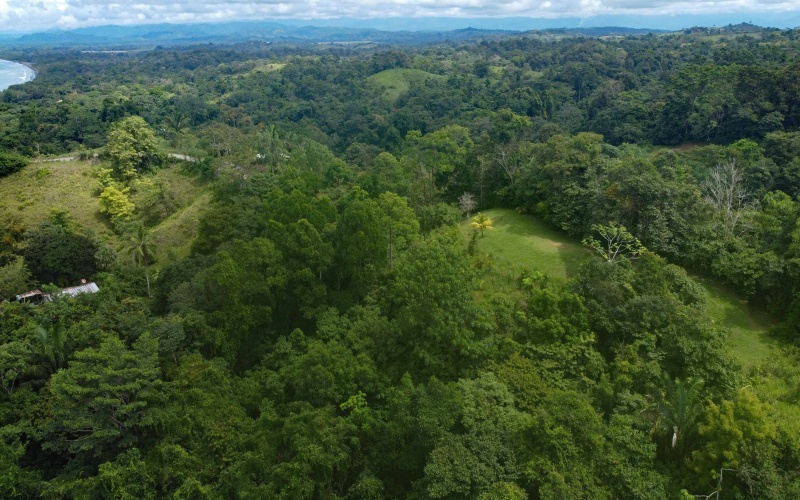 Land for sale, Property for sale, Real estate, Costa Rica, Pavones, Pilon, Cuervito, 3.3 hectares, 8.1 acres, Se vende, Lote en venta, 