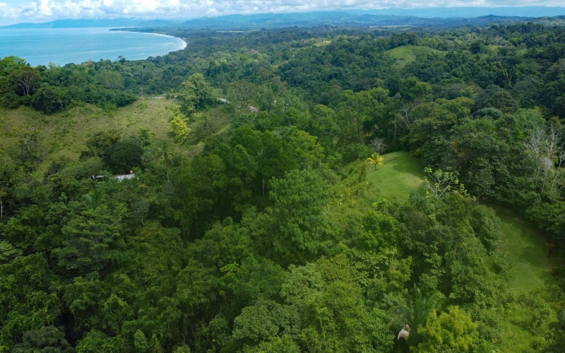 Land for sale, Property for sale, Real estate, Costa Rica, Pavones, Pilon, Cuervito, 3.3 hectares, 8.1 acres, Se vende, Lote en venta, 