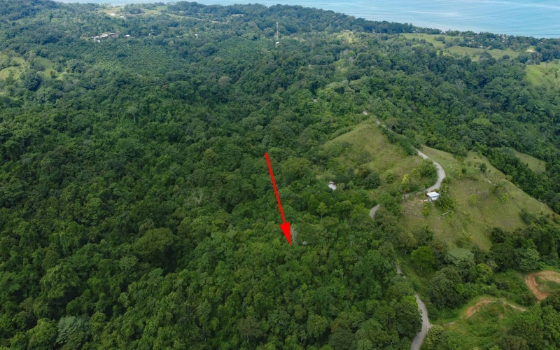 Land for sale, Property for sale, Real estate, Costa Rica, Pavones, Pilon, Cuervito, 3.3 hectares, 8.1 acres, Se vende, Lote en venta, 