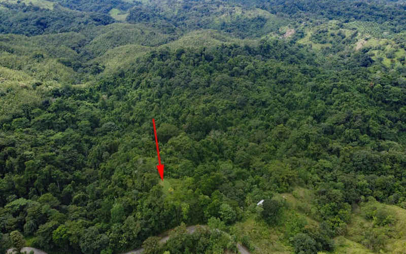 Land for sale, Property for sale, Real estate, Costa Rica, Pavones, Pilon, Cuervito, 3.3 hectares, 8.1 acres, Se vende, Lote en venta, 