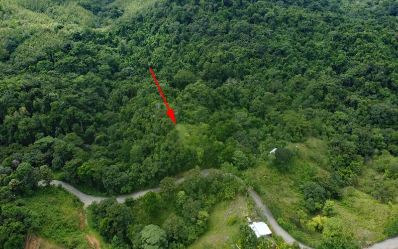 Land for sale, Property for sale, Real estate, Costa Rica, Pavones, Pilon, Cuervito, 3.3 hectares, 8.1 acres, Se vende, Lote en venta, 