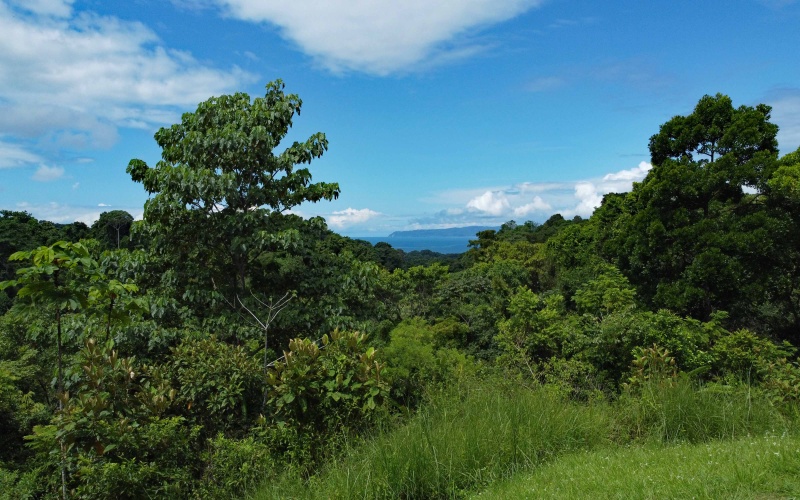 Land for sale, Property for sale, Real estate, Costa Rica, Pavones, Pilon, Cuervito, 3.3 hectares, 8.1 acres, Se vende, Lote en venta, 