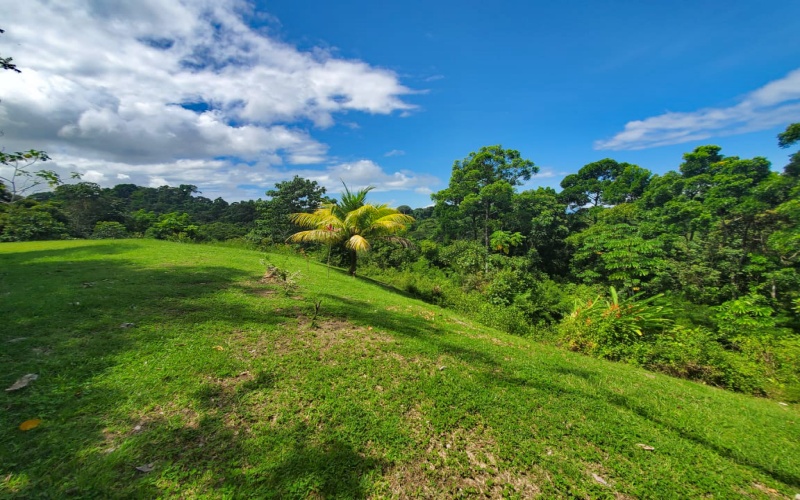 Land for sale, Property for sale, Real estate, Costa Rica, Pavones, Pilon, Cuervito, 3.3 hectares, 8.1 acres, Se vende, Lote en venta, 