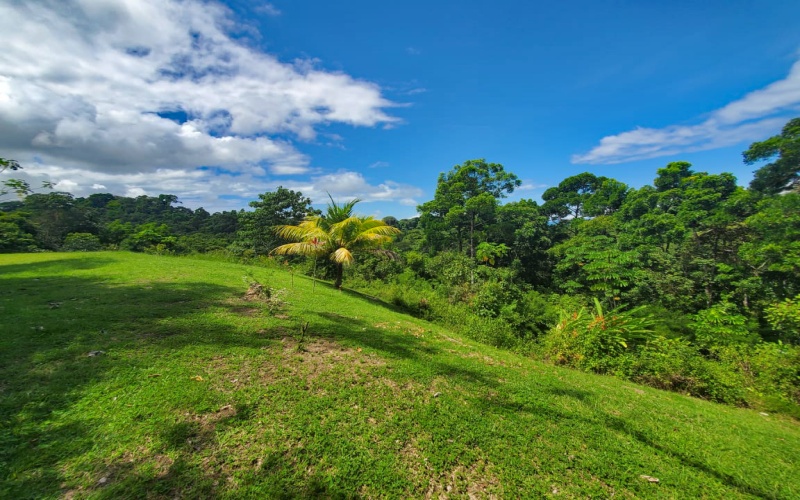 Land for sale, Property for sale, Real estate, Costa Rica, Pavones, Pilon, Cuervito, 3.3 hectares, 8.1 acres, Se vende, Lote en venta, 