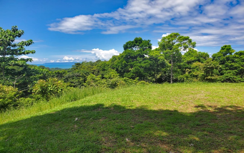 Land for sale, Property for sale, Real estate, Costa Rica, Pavones, Pilon, Cuervito, 3.3 hectares, 8.1 acres, Se vende, Lote en venta, 